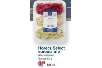 horeca select sprouts trio