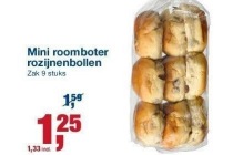 mini roomboter rozijnenbollen