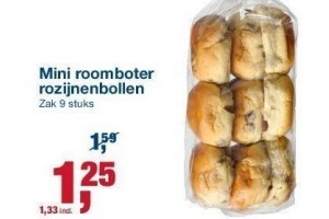 mini roomboter rozijnenbollen