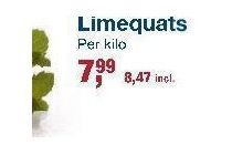 limequats nu eur7 99 per stuk