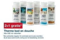 therme bad en douche