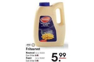 kern frituurvet