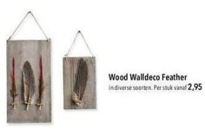 wood walldeco feather