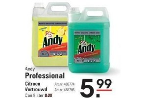 andy professional