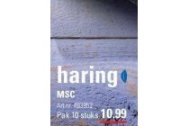 nieuwe haring msc