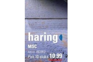 nieuwe haring msc