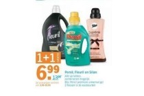 persil fleuril en silan