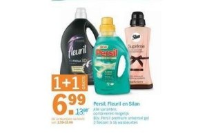 persil fleuril en silan