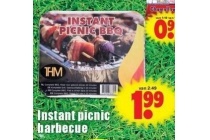 instant picnic barbecue