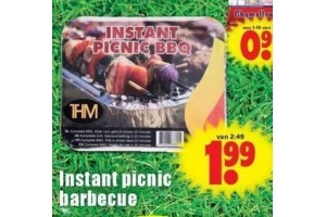 instant picnic barbecue