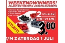 hollandse blauwe bessen frambozen bramen of rode bessen