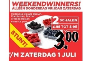 hollandse blauwe bessen frambozen bramen of rode bessen