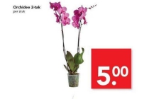 orchidee 2 takker