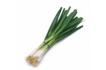 bosuien of kropsla