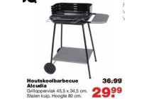 houtskoolbarbecue alcudia