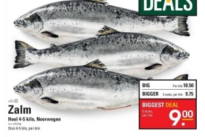 zalm