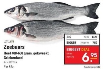 zeebaars