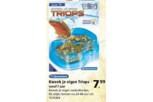 kweek je eigen triops