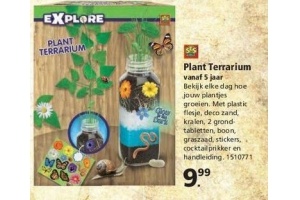 plant terrarium