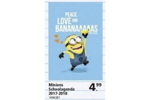 minions schoolagenda 2017 18