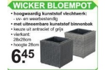 wicker bloempot