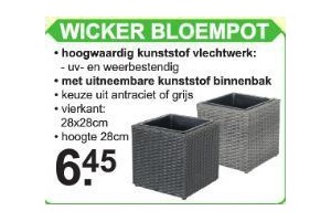 wicker bloempot