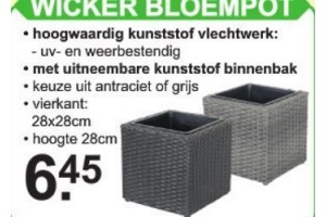Stoutmoedig geur Buitenboordmotor Wicker Bloempot nu €6,45 - Beste.nl