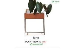 plant box