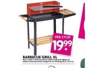 barbecue grill xl