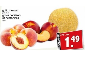 galia meloen per stuk grote perziken of nectarines