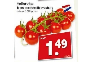 hollandse tros cocktailtomaten