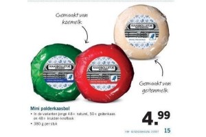 mini polderkaasbol
