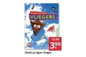 maak je eigen vlieger