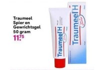 traumeel spier en gewrichtsgel 50 gram