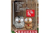 solar dieren