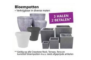 bloempotten