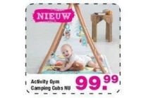 activity gym camping cubs