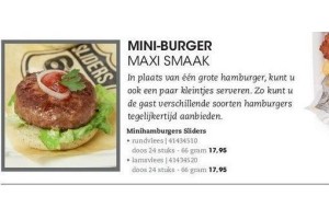 mini burgerer sliders