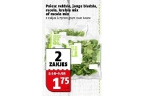 poiesz veldsla jonge bladsla rucola krulsla mix of rucola mix