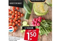 ijsbergsla komkommer radijs of cherrytomaten