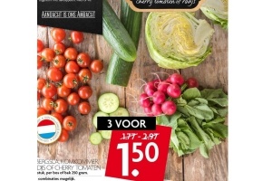 ijsbergsla komkommer radijs of cherrytomaten