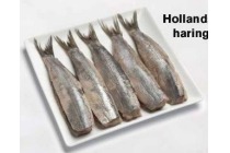 hollandse nieuwe haring zonder ui