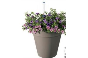 waterwick pot met calibrachoa