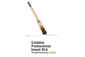 gamma professional kwast r14