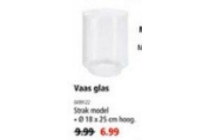 vaas glas