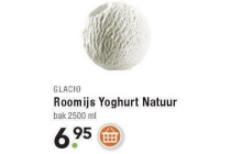 roomijs yoghurt natuur