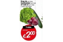 krop sla komkommer of rode ui