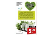 kamerplanten 3 voor eur5 00