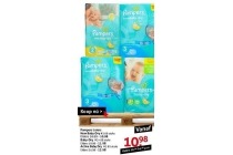 pampers artikelen