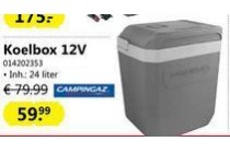 koelbox 12v